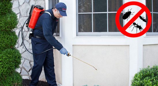Kayseri Kemirgen İlaçlama böcek ilaçlama ve haşere kontrolü — ilaclama-tr.com